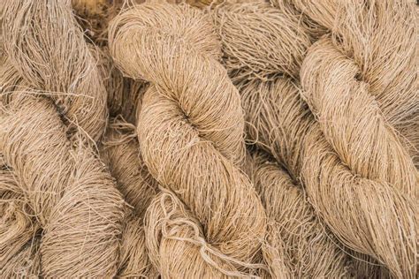 ¡Hemp: Descubriendo el Potencial Textil de esta Fibra Milenaria!