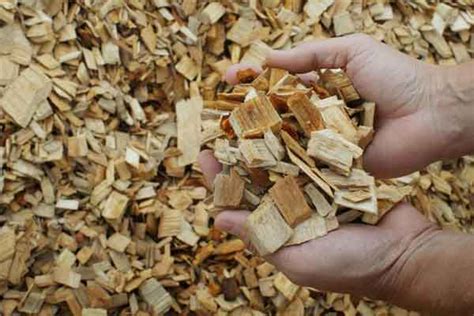 ¿Pulpwood: La Madera Maravillosa para la Producción de Papel y Biocombustibles?